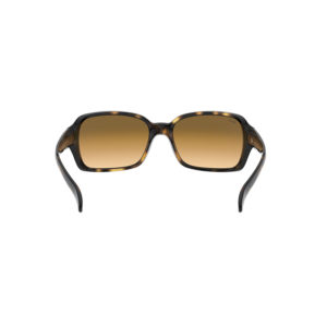 RB4068 - Imagen 8